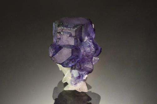 Fluorite<br />Milpo Mine, Cerro de Pasco, Atacocha mining district, Pasco Province, Pasco Department, Peru<br />2.6 x 1.8 cm<br /> (Author: Michael Shaw)