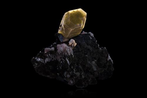 Fluorapatite on Muscovite<br />Fazenda Pavão, Serra do Salitre Municipality, Triângulo Mineiro e Alto Paranaíba Region , Brazil<br />13 x 7 x 11 cm / main crystal: 4.8 cm<br /> (Author: MIM Museum)
