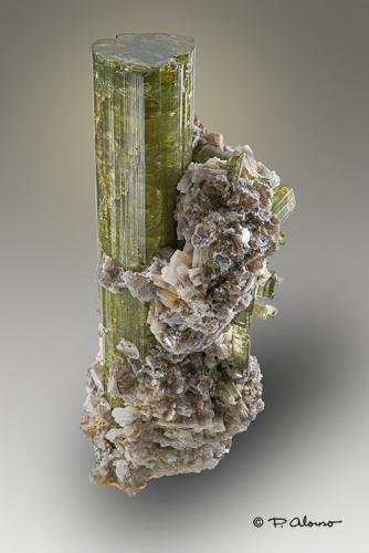 Elbaita (variedad verdelita) + Lepidolita<br />Minas Gerais, Brasil<br />3,5cm x 8cm x 4cm<br /> (Autor: Pere Alonso)