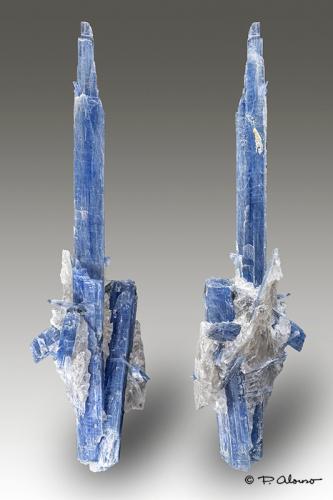 Cianita + Cuarzo<br />Mina do Boqueirão, Barra de Salinas, Coronel Murta, Vale do Jequitinhonha, Minas Gerais, Brasil<br />14cm x 4cm x 1,5cm<br /> (Autor: Pere Alonso)