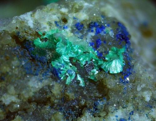 Tyrolite, Azurite, Quartz, minor Malachite<br />Flirscher Schihütte, Strengen, Landeck District, North Tyrol, Tyrol/Tirol, Austria<br />ca. 6 x 4 mm<br /> (Author: Volkmar Stingl)