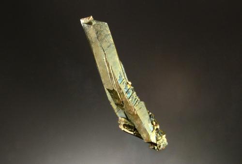 Marcasite<br />Mina Linwood, Buffalo, Condado Scott, Iowa, USA<br />4.0 x 0.5 cm<br /> (Author: Michael Shaw)