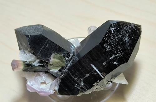 Elbaite, Quartz, Albite, Muscovite<br />Stak Nala, Haramosh Mountains, Skardu District, Gilgit-Baltistan (Northern Areas), Pakistan<br />67 mm x 36 mm. Largest crystal: 58 mm<br /> (Author: Carles Millan)