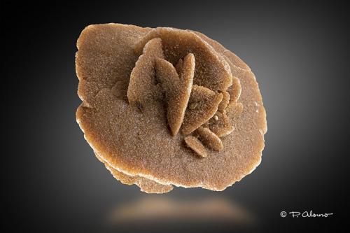 Yeso (rosa del desierto)<br />Ouargla, Distrito Ouargla, Provincia Ouargla, Argelia<br />5cm x 5cm x 3cm<br /> (Autor: Pere Alonso)