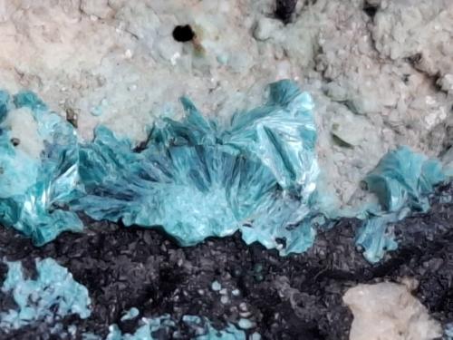 Tyrolite, Romanechite, Dolomite<br />Ringenwechsel Mining District, Troi, District Schwaz, Inn Valley, North Tyrol, Tyrol/Tirol, Austria<br />FoV. ca. 1,5 x 1 cm<br /> (Author: Volkmar Stingl)