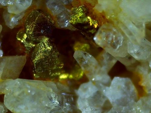 Chalcopyrite, Quartz<br />Klammalm, Navis, Innsbruck-Land District, North Tyrol, Tyrol/Tirol, Austria<br />7 x 6 cm<br /> (Author: Volkmar Stingl)