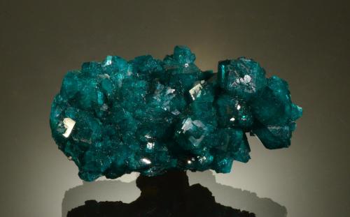 Dioptase<br />Mindouli, Mindouli District, Pool Department, Republic of the Congo<br />5.2 x 3.1 x 2.3 cm<br /> (Author: Michael Shaw)