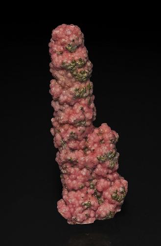 Rhodochrosite, Pyrite<br />Mina Oppu, Nishimeya-mura, Distrito Nakatsugaru, Prefectura Aomori, Región Tohoku, Isla Honshu, Japón<br />12.9 x 4.8 cm<br /> (Author: am mizunaka)