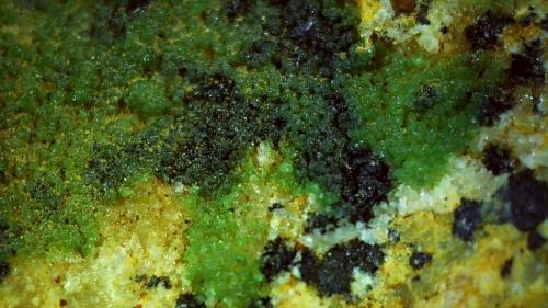 Zincolivenite, Romanechite<br />Stocker adit, Silberberg mining district, Reith im Alpbachtal, Kufstein District, Inn Valley, North Tyrol, Tyrol/Tirol, Austria<br />5,5 x 3,5 cm<br /> (Author: Volkmar Stingl)
