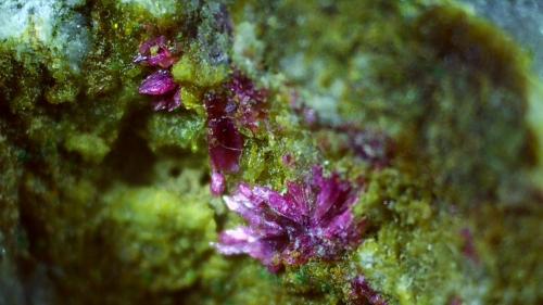 Erythrite<br />Stocker adit, Silberberg mining district, Reith im Alpbachtal, Kufstein District, Inn Valley, North Tyrol, Tyrol/Tirol, Austria<br />5,5 x 4 cm<br /> (Author: Volkmar Stingl)