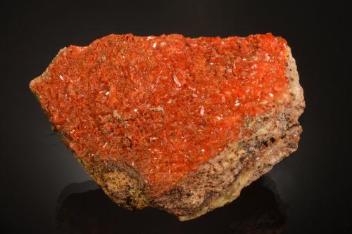 Crocoite<br />Minas Berezovskoe, Monte Uspenskaya, Berezovskii, Ekaterinburg (Sverdlovsk), Sverdlovsk Oblast, Ural, Rusia<br />9.6 x 6.5 x 3.9 cm<br /> (Author: Michael Shaw)