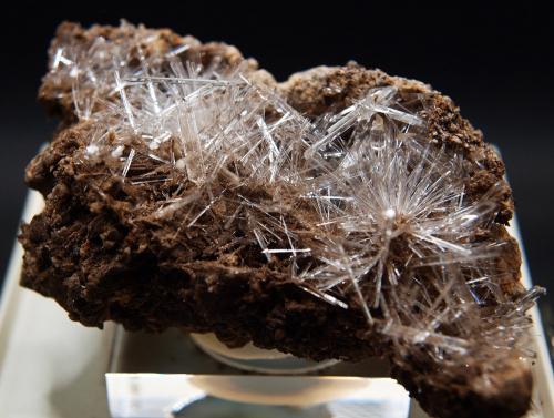 Yeso<br />San Timoteo Mine, Pico del Águila, Sierra Minera de Cartagena-La Unión, Cartagena, Comarca Campo de Cartagena, Region of Murcia (Murcia), Spain<br />7 x 4.5 cm<br /> (Autor: Pedro Antonio)