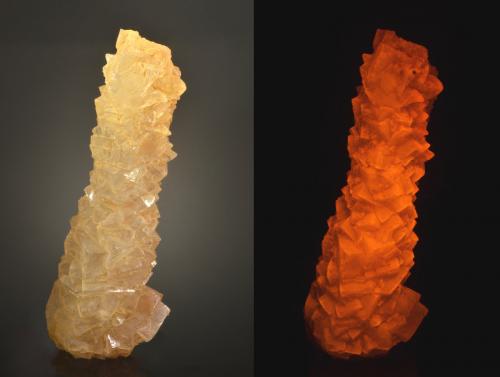 Halite<br />Salt Flats on Cimarron River, Freedom, Woods County, Oklahoma, USA<br />12.4 x 4.3 x 3.0  cm<br /> (Author: Michael Shaw)