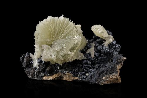 Tarbuttite<br />Skorpion Mine, Rosh Pinah, Lüderitz District, ǁKaras Region, Namibia<br />10 x 6 x 5.5 cm / main crystal: 2.3 cm<br /> (Author: MIM Museum)