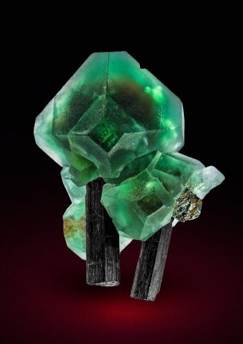 Fluorite, Schorl<br />Erongo Mountain, Usakos, Erongo Region, Namibia<br />Specimen height 3,5 cm<br /> (Author: Tobi)