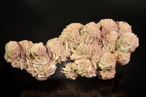 Gypsum<br />Samalayuca Desert, Municipio Ahumada, Chihuahua, Mexico<br />18.0 x 9.3 x 4.8 cm<br /> (Author: Michael Shaw)