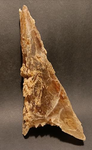 Yeso<br />Camí de la Cova Plana, Mequinenza, Comarca Bajo Cinca, Zaragoza, Aragon, Spain<br />18 x 8 x 6 cm<br /> (Autor: Frederic Varela)
