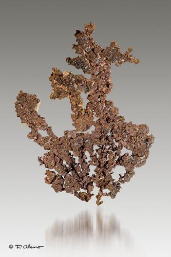 Cobre nativo<br />Mina Itauz, Dzhezkazgan, Región Karaganda, Kazajstán<br />6,7cm x 4cm x 0,3cm<br /> (Autor: Pere Alonso)