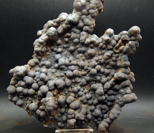 óxidos de manganeso [manganese oxides and hydroxides]<br />Mina Haití, Cabezo de San Ginés, San Ginés de la Jara, Cartagena, Comarca Campo de Cartagena, Región de Murcia (Murcia), España<br />16  x 13 cm<br /> (Autor: Pedro Antonio)