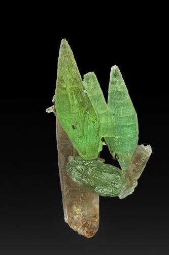 Beryl (variety aquamarine), Quartz (variety smoky quartz)<br />Manakana pegmatite, Manakana, Manakana Commune, Tsaratanàna District, Betsiboka Region, Madagascar<br />8.4 x 3.2 cm<br /> (Author: am mizunaka)