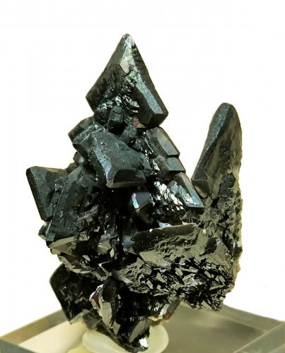 Descloizite<br />Berg Aukas, Grootfontein District, Otjozondjupa Region, Namibia<br />60 mm × 45 mm. Largest crystal: 18 mm on edge. Mass: 83 g.<br /> (Author: Carles Millan)