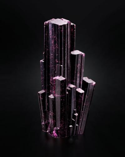 Fluor-liddicoatite<br />Tsitondroina, Ikalamavony District, Haute Matsiatra Region, Madagascar<br />16 x 13.5 x 33.5 cm / main crystal: 33 cm.<br /> (Author: MIM Museum)