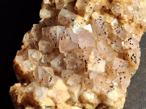 Fluorite, Pyrite<br />Vignola Mine, Valsugana, Vignola-Falesina, Trento Province, Trentino-Alto Adige (Trentino-Südtirol), Italy<br />10 x 5,5 cm<br /> (Author: Volkmar Stingl)