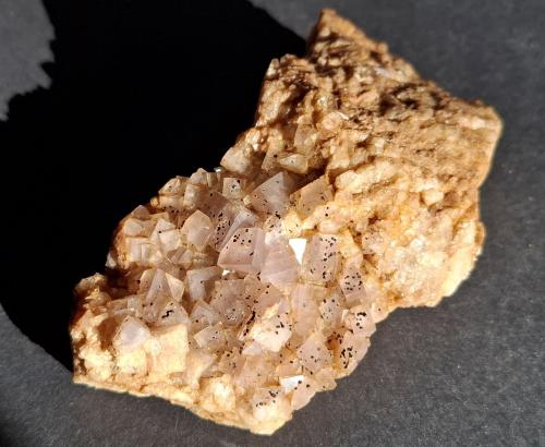 Fluorite, Pyrite<br />Vignola Mine, Valsugana, Vignola-Falesina, Trento Province, Trentino-Alto Adige (Trentino-Südtirol), Italy<br />10 x 5,5 cm<br /> (Author: Volkmar Stingl)