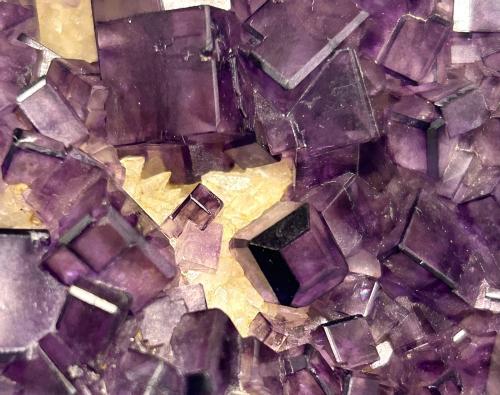 Fluorita<br />Josefa-Veneros vein, 75 level, Coroña de Arriba-La Collada, La Collada mining area, Siero, Comarca Oviedo, Principality of Asturias (Asturias), Spain<br /><br /> (Autor: castrominerals)