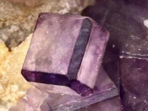 Fluorita<br />Josefa-Veneros vein, 75 level, Coroña de Arriba-La Collada, La Collada mining area, Siero, Comarca Oviedo, Principality of Asturias (Asturias), Spain<br /><br /> (Autor: castrominerals)