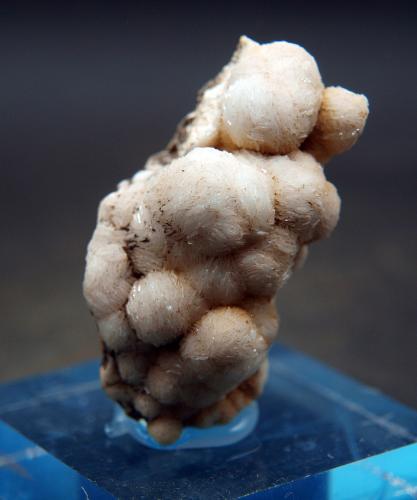 Celestina<br />Concesión Minerama II, Urbanización Puente Tablas, Jaén ciudad, Jaén, Comarca Metropolitana de Jaén, Andalucía, España<br />4.5 x 2.5 cm<br /> (Autor: Pedro Antonio)