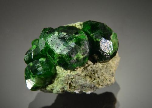 Andradite (variety demantoid)<br />Belqeys Mountain, Takab, West Azerbaijan Province, Iran<br />2.5 x 1.9 cm<br /> (Author: Michael Shaw)