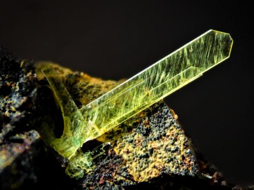 Sabugalita<br />Mina El Pedregal, Hoya del Lobo, La Haba, Comarca La Serena, Badajoz, Extremadura, España<br />4 mm<br /> (Autor: Borja Sainz de Baranda)