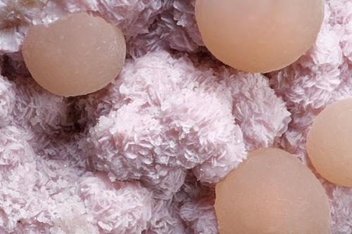 Shinichengita con Bultfonteinita<br />Shijiangshan Mine, Shijiangshan village, Yinwu, Linxi, Ulanhad League, Inner Mongolia Autonomous Region, China<br />1 × 0.8 cm<br /> (Autor: Jordi Fabre)