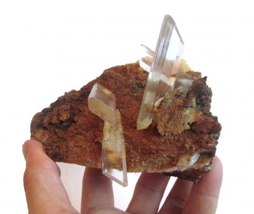 Gypsum<br />Niccioleta Mine, Massa Marittima, Grosseto Province, Tuscany, Italy<br />Specimen size 13 x 8 cm, largest crystal 7 cm<br /> (Author: Tobi)