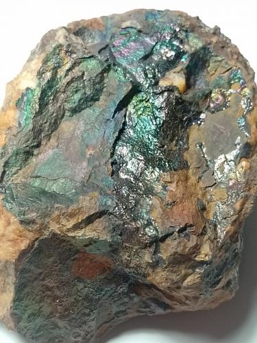 Goethita<br />Corta Filón Sur, Minas de Tharsis, Tharsis, Alosno, Comarca El Andévalo, Huelva, Andalucía, España<br />6x5 cm<br /> (Autor: Florencio Ramírez)