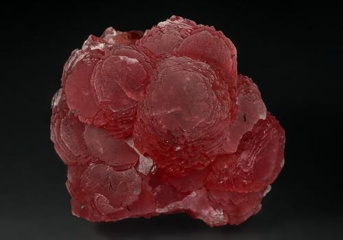 Rhodochrosite<br />Zona minera N'Chwaning, Kuruman, Kalahari manganese field (KMF), Provincia Septentrional del Cabo, Sudáfrica<br />5.5 x 5.0 cm<br /> (Author: am mizunaka)