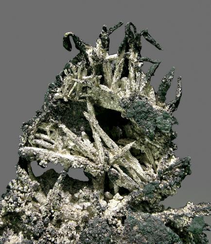 Plata con Esfalerita<br />Kongsberg mining district, Kongsberg, Norway<br />cristal mayor: 2 × 0.2 cm<br /> (Autor: Jordi Fabre)