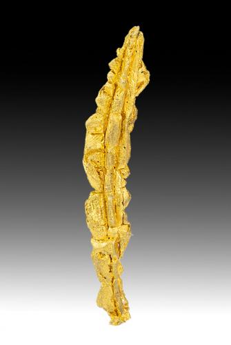 Gold<br />Aouint Ighoman, Assa-Zag Province, Guelmim-Oued Noun Region, Morocco<br />25 mm x 3 mm x 2 mm<br /> (Author: Carles Millan)