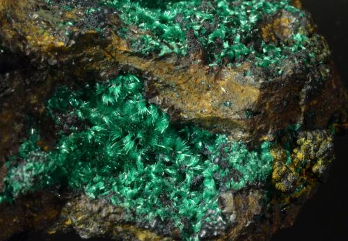 Malachite<br />Mina Friedrich, Schönstein (Steckenstein), Wissen, Flammersfeld, Altenkirchen (Westerwald), Siegerland, Renania-Palatinado/Rheinland-Pfalz, Alemania<br />9.0 x 6.2 x 4.9 cm<br /> (Author: Michael Shaw)