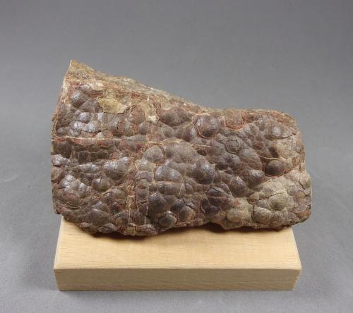 Esfalerita (variedad schalenblenda)<br />Zona minera Bleiberg, Alpe Gailtaler & Alpe Karnische, Carintia/Kärnten, Austria<br />9,3 x 6 x 2,7 cm.<br /> (Autor: J. G. Alcolea)