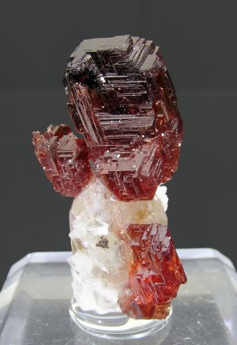 Spessartina con Cuarzo<br />Concesión Navegadora (Concesión Orozimbo), Penha do Norte, Conselheiro Pena, Vale do Rio Doce, Minas Gerais, Brasil<br />3 × 1.7 × 1.8 cm<br /> (Autor: Jordi Fabre)