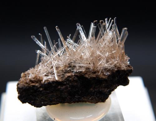 Yeso<br />San Timoteo Mine, Pico del Águila, Sierra Minera de Cartagena-La Unión, Cartagena, Comarca Campo de Cartagena, Region of Murcia (Murcia), Spain<br />4 x 2 cm<br /> (Autor: Pedro Antonio)
