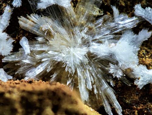 Hörnesita<br />Concesión La Reconquistada, Pastrana, Mazarrón, Comarca Alto Guadalentín, Región de Murcia (Murcia), España<br />4 mm<br /> (Autor: Borja Sainz de Baranda)