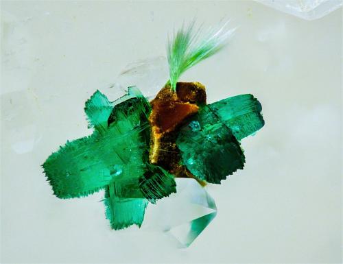 Cornwallita; agardita-(Ce)<br />Mina Clara, Valle Rankach, Oberwolfach, Wolfach, Selva Negra, Baden-Württemberg, Alemania<br />3 mm<br /> (Autor: Borja Sainz de Baranda)