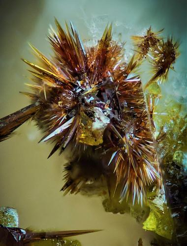 Carminita<br />Grupo Minero San Nicolás (Mina San Nicolás), Valle de la Serena, Comarca La Serena, Badajoz, Extremadura, España<br />2 mm<br /> (Autor: Borja Sainz de Baranda)
