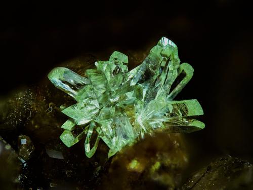 Austinita<br />Mina Christiana, Minas Kamariza, Agios Konstantinos, Distrito minero Lavrion, Prefectura Attikí (Attica), Grecia<br />2 mm<br /> (Autor: Borja Sainz de Baranda)