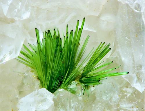 Agardita-(Ce)<br />Clara Mine, Rankach Valley, Oberwolfach, Wolfach, Black Forest, Baden-Württemberg, Germany<br />4 mm<br /> (Autor: Borja Sainz de Baranda)