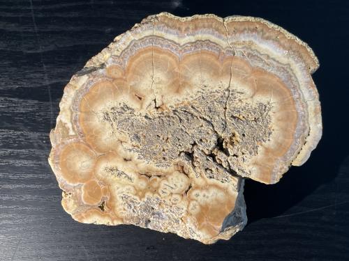Baryte<br />Dirtlow Rake, Castleton, High Peak District, Derbyshire, England / United Kingdom<br />13 x 10cm<br /> (Author: Kevin Schofield)