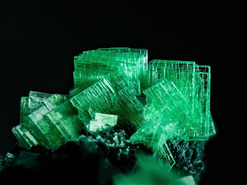Zeunerita<br />La Profunda Mine, Collada de Cármenes, Cármenes, Comarca Los Argüellos, León, Castile and León, Spain<br />5 mm<br /> (Autor: Borja Sainz de Baranda)